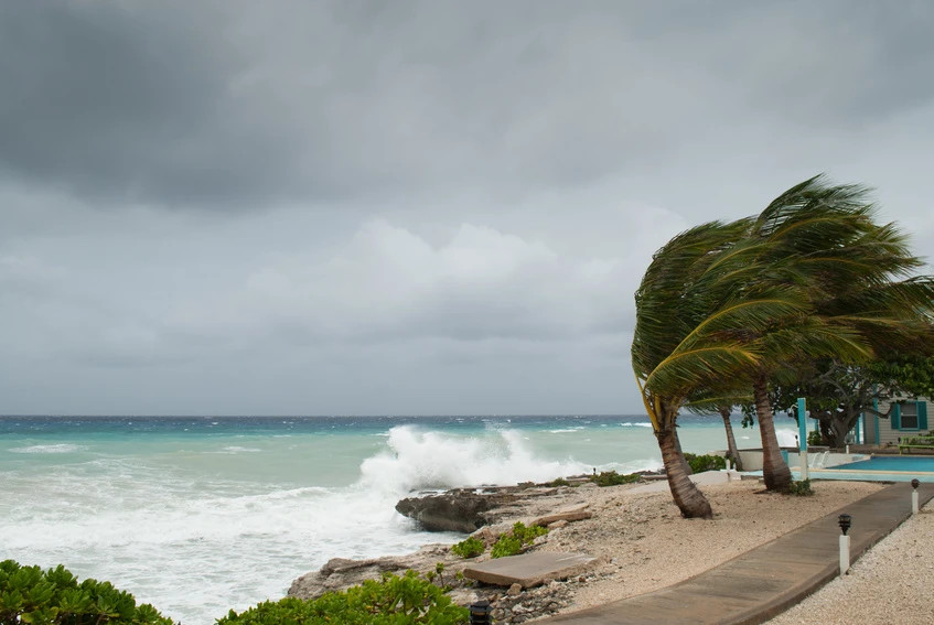 Why You Need A Generator For Hurricane Season